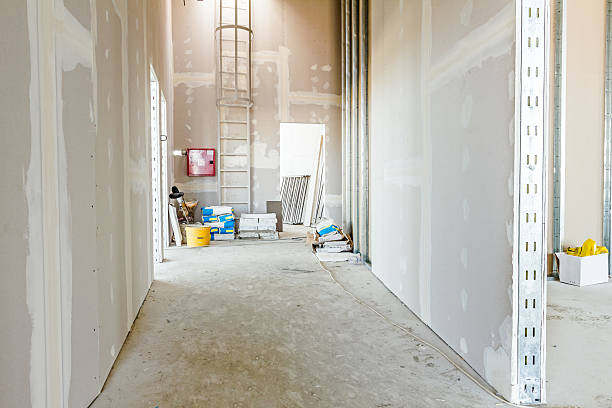 Best Crawl Space Mold Remediation  in South Monrovia Island, CA