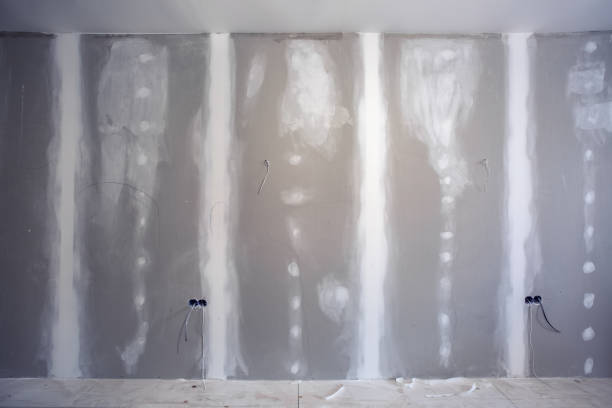Mold Remediation for Rental Properties in South Monrovia Island, CA